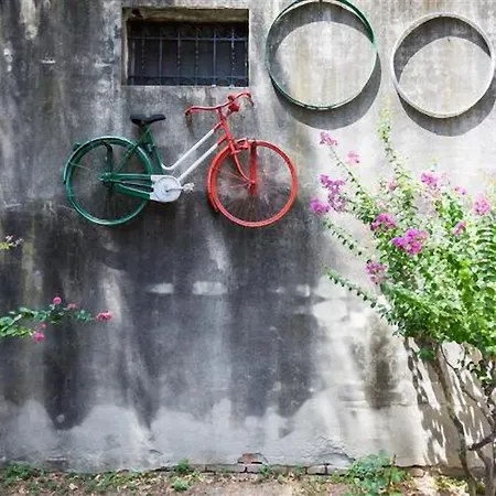 Guesthost - Butterfly