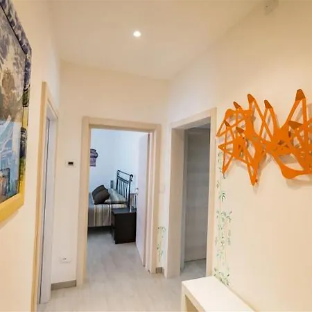 Guesthost - Butterfly *