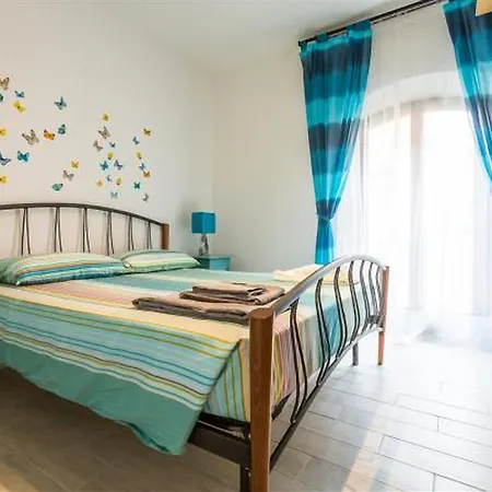 Guesthost - Butterfly