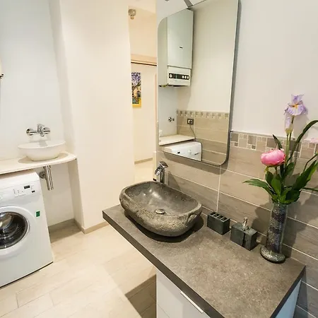 Guesthost - Butterfly 博洛尼亚