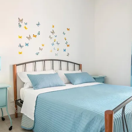 Guesthost - Butterfly 博洛尼亚