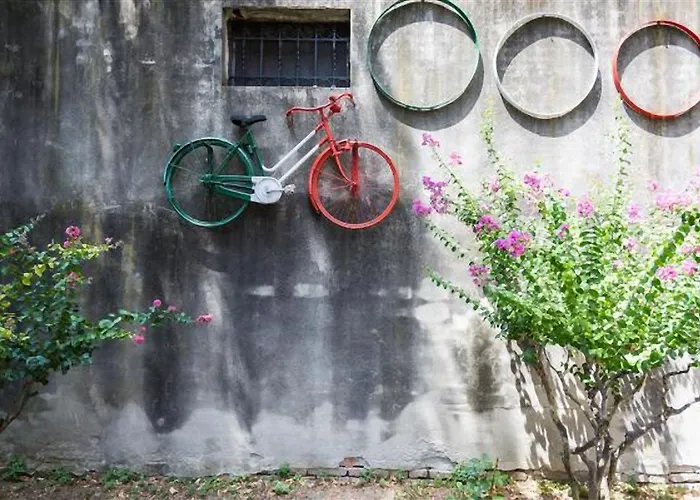 Guesthost - Butterfly