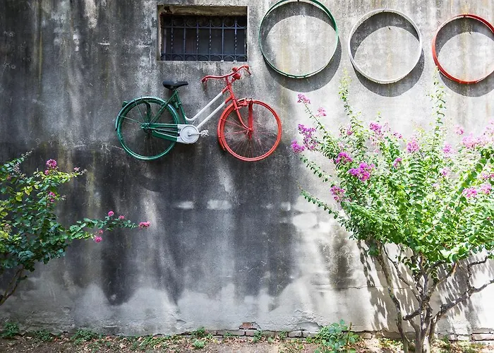 Guesthost - Butterfly *