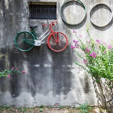 Guesthost - Butterfly *